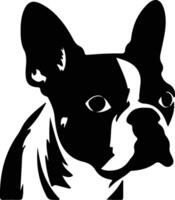 Boston Terrier    black silhouette vector