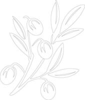 olive  outline silhouette vector