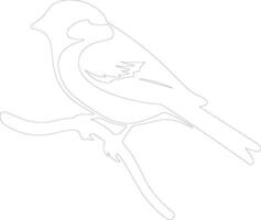 tree sparrow   outline silhouette vector