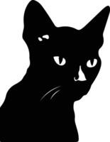 Tonkinese Cat  silhouette portrait vector