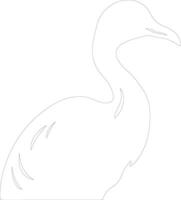 dodo   outline silhouette vector