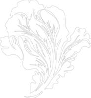 radicchio  outline silhouette vector