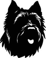 Bouvier des Flandres  silhouette portrait vector