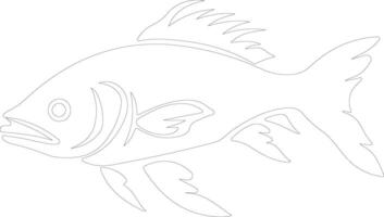 Dinichthys outline silhouette vector