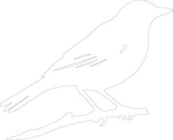 starling    outline silhouette vector
