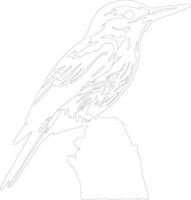 white-breasted nuthatch  outline silhouette vector