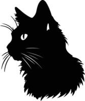 Somali Cat  silhouette portrait vector