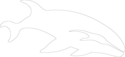 beluga ballena contorno silueta vector