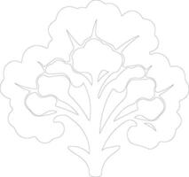 cauliflower  outline silhouette vector