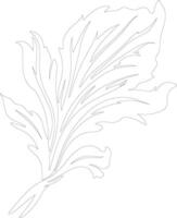 radicchio  outline silhouette vector