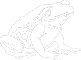 toad   outline silhouette vector