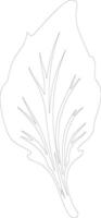 endive  outline silhouette vector