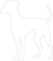 Whippet  outline silhouette vector