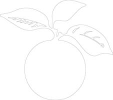 mandarin orange  outline silhouette vector