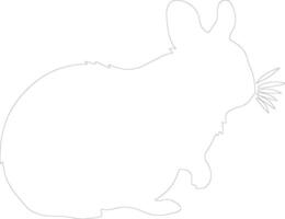 chinchilla contorno silueta vector