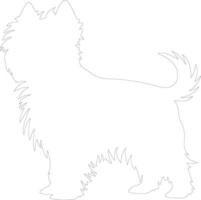 affenpinscher contorno silueta vector