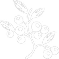 lingonberry  outline silhouette vector