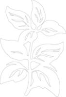 basil outline silhouette vector