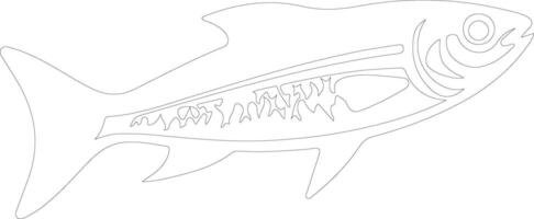 herring  outline silhouette vector
