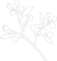 Mistletoe  outline silhouette vector