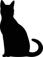 Korat Cat  silhouette portrait vector