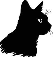 European Shorthair Cat  silhouette portrait vector