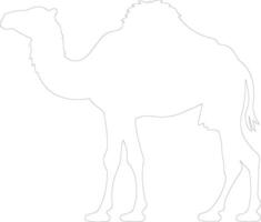 bactrian camel  outline silhouette vector