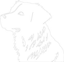 Nova Scotia Duck Tolling Retriever  outline silhouette vector