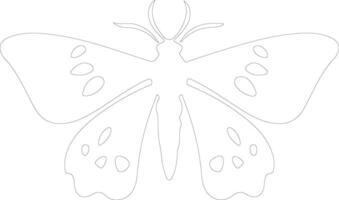 jumping bean moth  outline silhouette vector