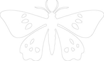 jumping bean moth  outline silhouette vector