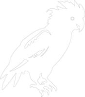 cockatoo outline silhouette vector