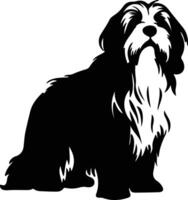 Polish Lowland Sheepdog black silhouette vector