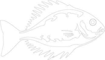 John Dory  outline silhouette vector