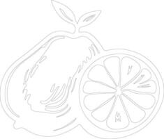 pomelo  outline silhouette vector