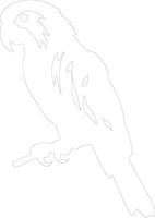 parrot  outline silhouette vector