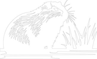 coypu outline silhouette vector