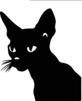 Devon Rex Cat  silhouette portrait vector