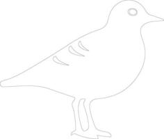 American golden plover  outline silhouette vector