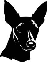 Toy Manchester Terrier  silhouette portrait vector