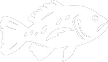 grouper outline silhouette vector