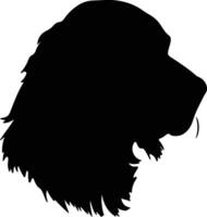 Boykin Spaniel  silhouette portrait vector