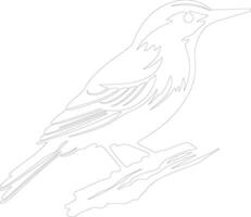 white-breasted nuthatch  outline silhouette vector