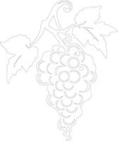 grape  outline silhouette vector