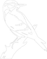 downy woodpecker    outline silhouette vector