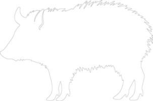 javelina  outline silhouette vector