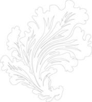 Chinese cabbage  outline silhouette vector