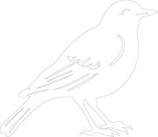 American Robin  outline silhouette vector