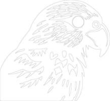 kakapo outline silhouette vector