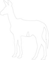 okapi  outline silhouette vector