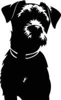 Border Terrier    black silhouette vector